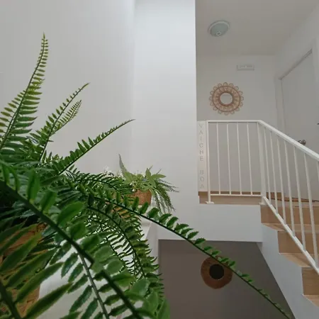 Aparthotel Vaiche Boa! *